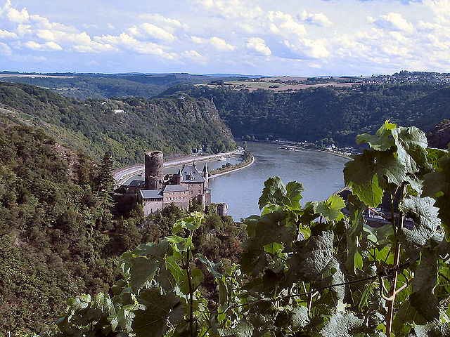 Middle Rhine Valley Near Oberwesel, Germany