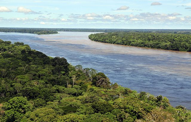 Amazon Rainforest Near Manaus, Brazil