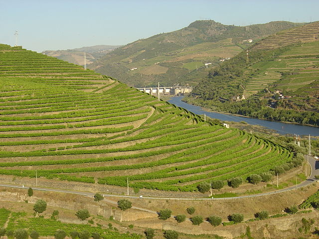Douro River Valley Near Regua, Portugal