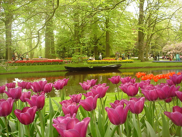 Keukenhof Gardens in the Netherlands